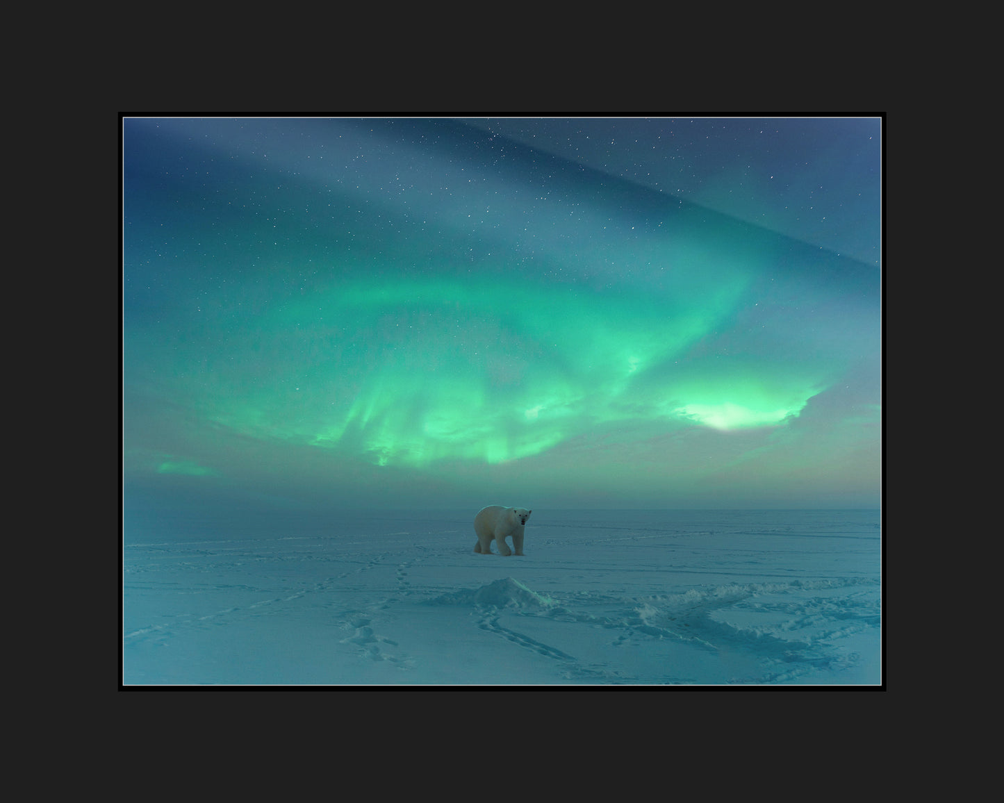 Polar Aurora