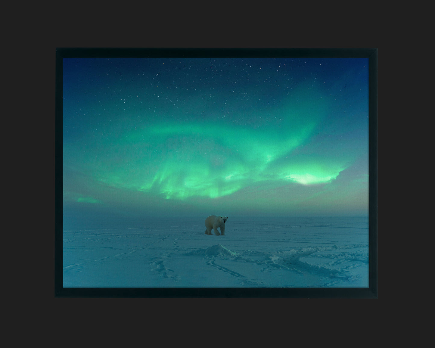 Polar Aurora