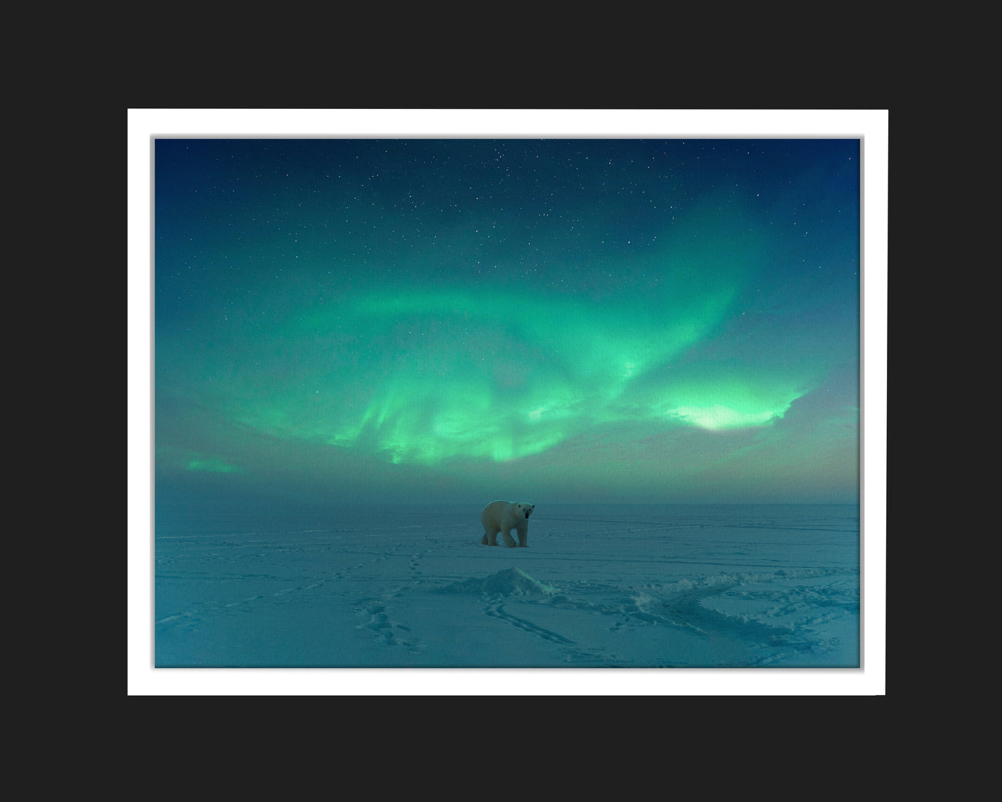 Polar Aurora