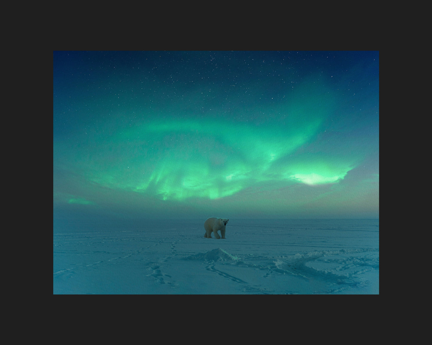 Polar Aurora