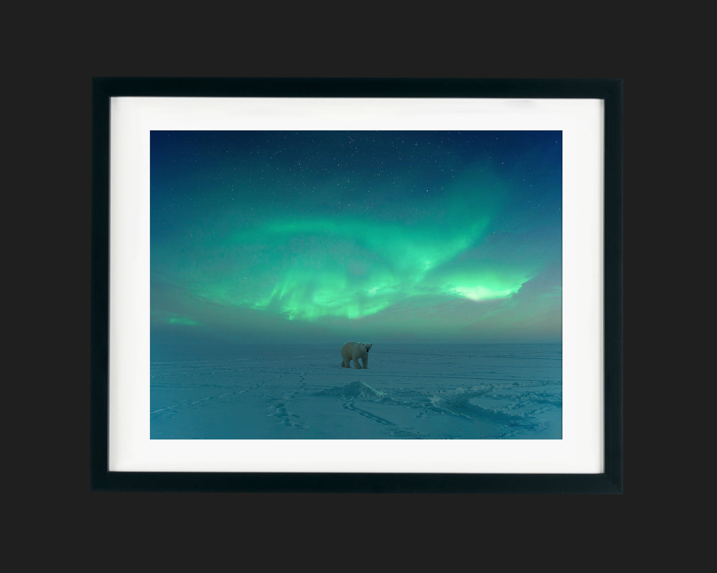 Polar Aurora