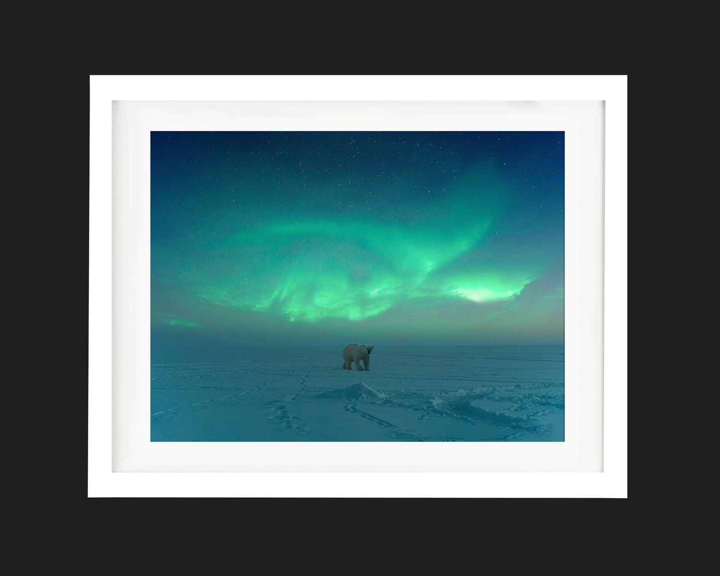 Polar Aurora