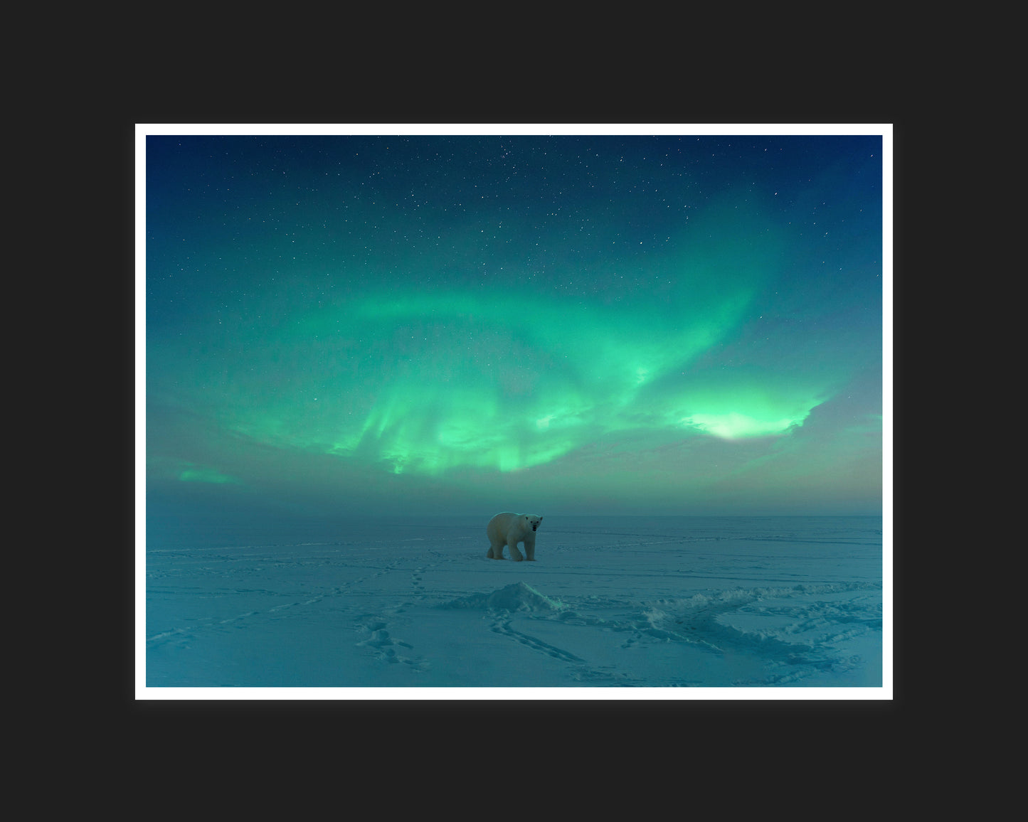 Polar Aurora